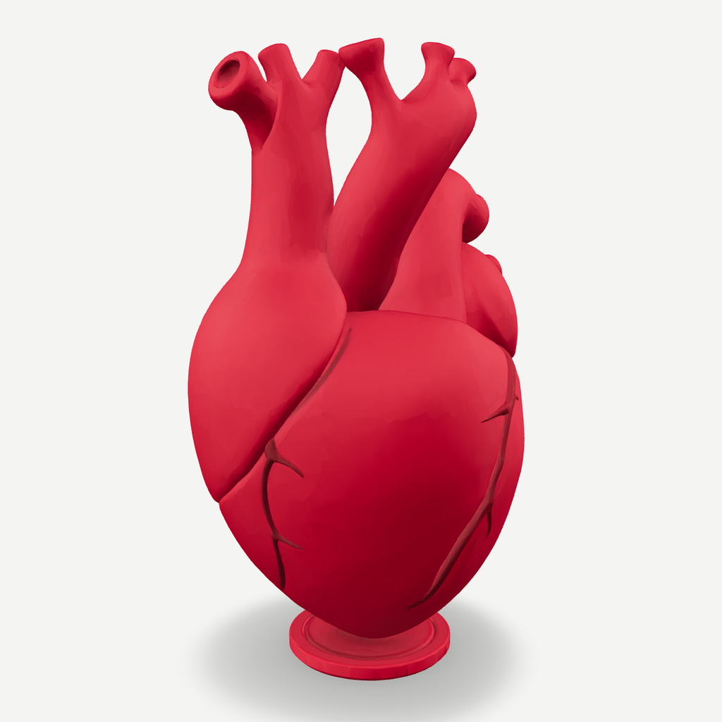3D printed anatomical heart vase — back view