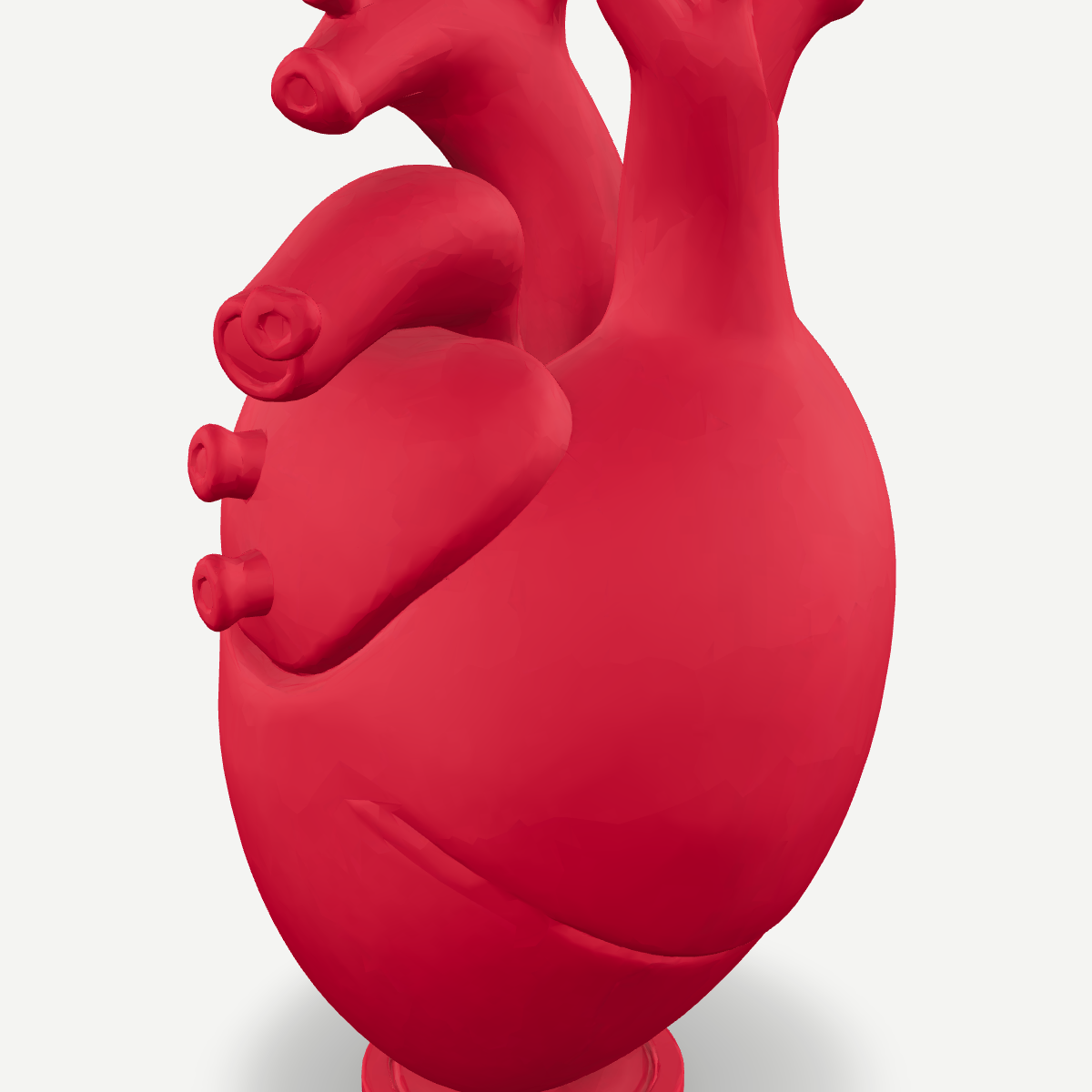 3D printed anatomical heart vase — detail view