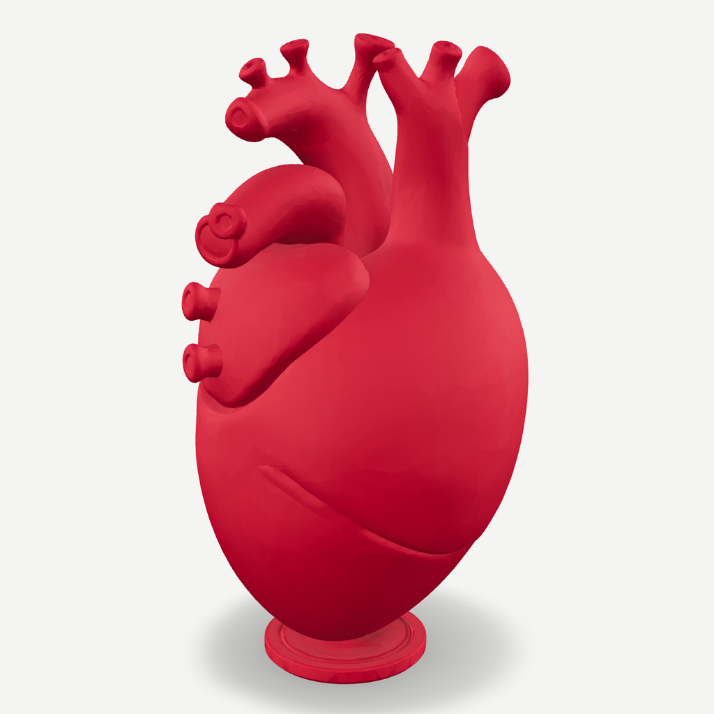 3D printed anatomical heart vase — front quarter view