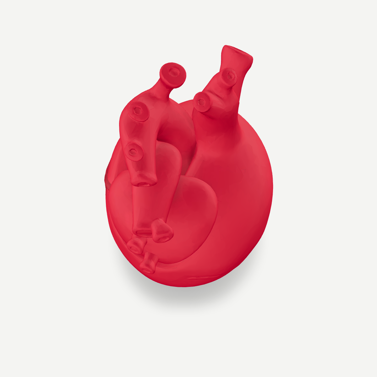 3D printed anatomical heart vase — top view